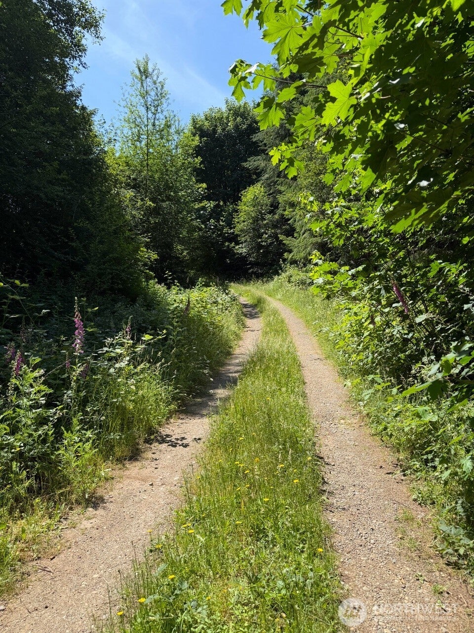 Photo of 434 W Bulb Farm Road, Shelton, WA 98584 (MLS # 2544452)