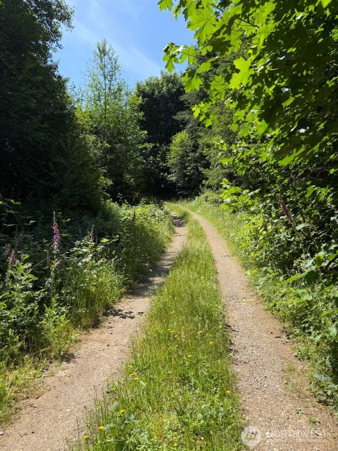 Photo of 434 W Bulb Farm Road, Shelton, WA 98584 (MLS # 2544452)
