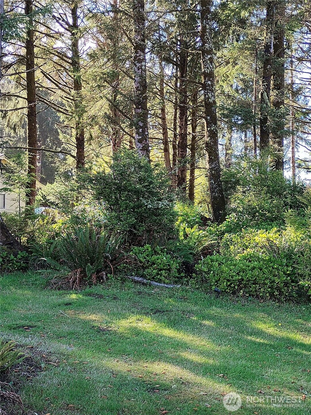 Photo of 762 Chenois Avenue NE, Ocean Shores, WA 98569 (MLS # 2506704)