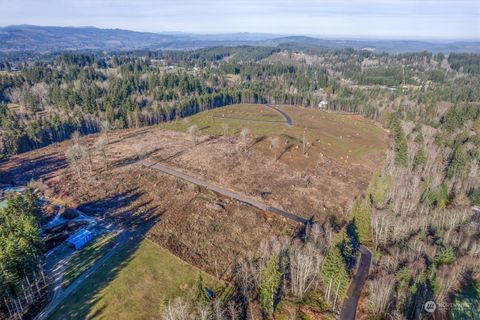 312 Dolan Road Castle Rock WA 98611