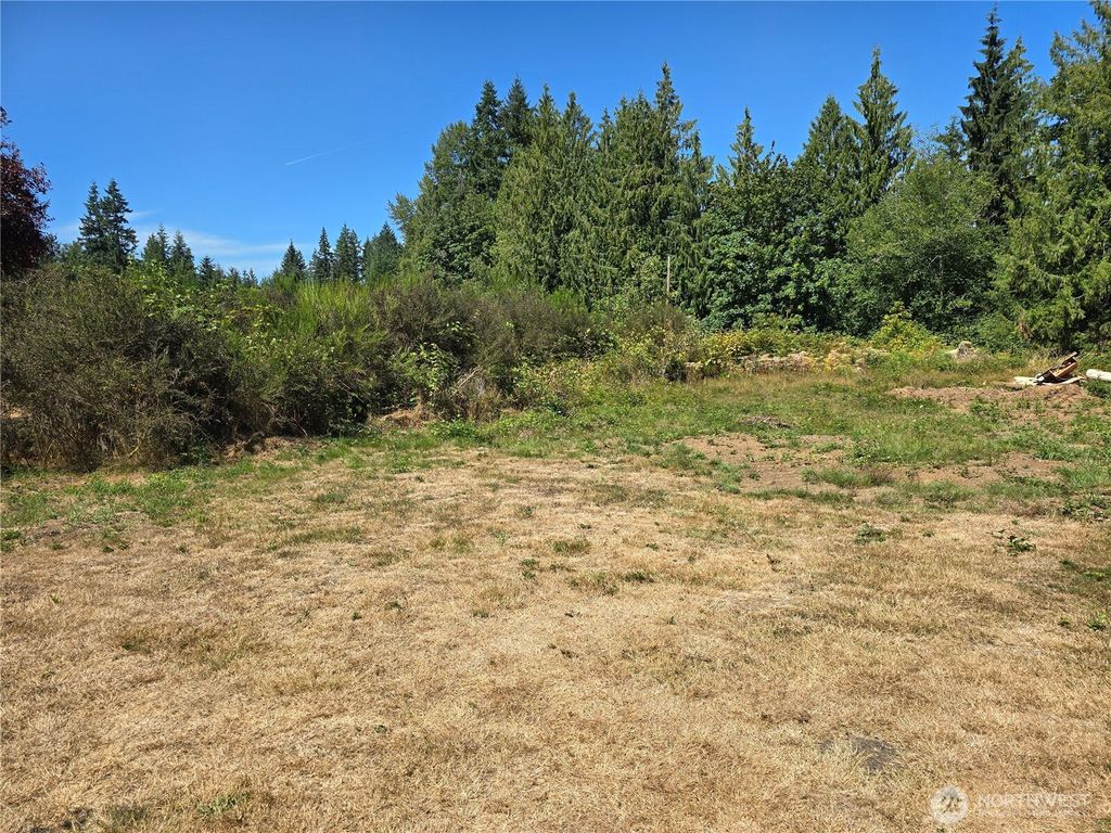 Photo of 15801 116 Street NE, Arlington, WA 98223 (MLS # 2446303)