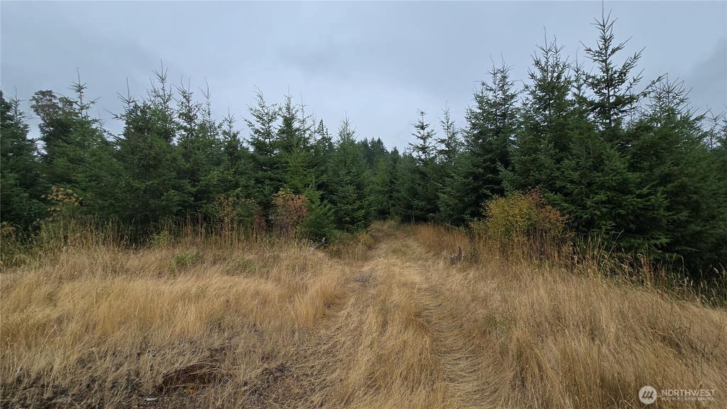 Photo of 9207 Tract B Old Olympic Highway NW, Olympia, WA 98502 (MLS # 2561171)
