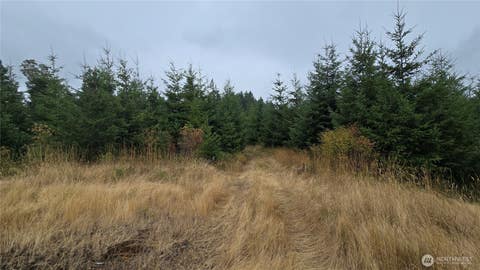 Photo of 9207 Tract B Old Olympic Highway NW, Olympia, WA 98502 (MLS # 2561171)