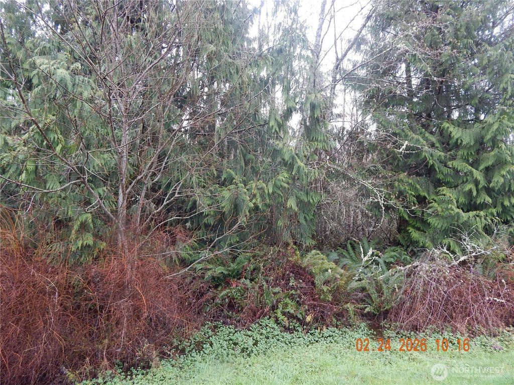 Photo of 9999 Farrington Road, Port Angeles, WA 98363 (MLS # 2482910)