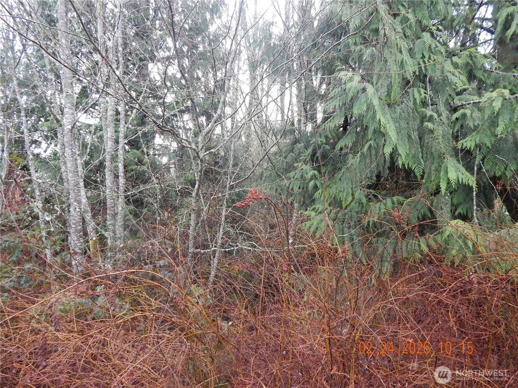Photo of 9999 Farrington Road, Port Angeles, WA 98363 (MLS # 2482910)