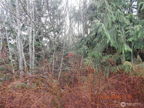 Photo of 9999 Farrington Road, Port Angeles, WA 98363 (MLS # 2482910)