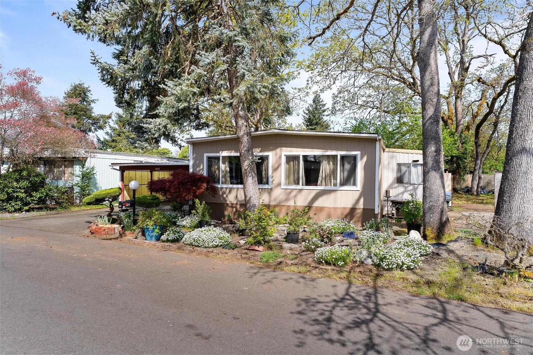 3213 85th Street S 48