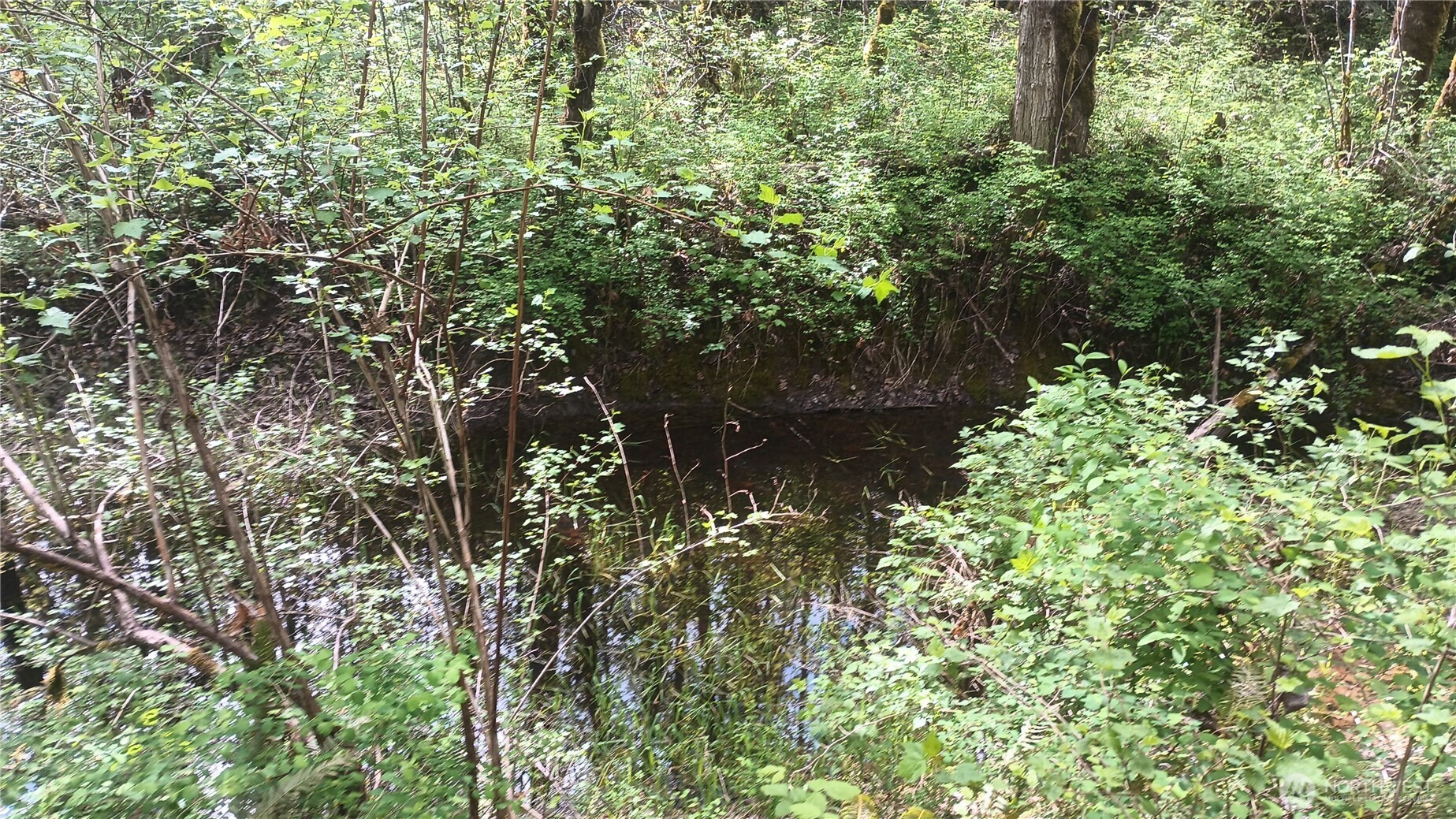 839 Cline Road