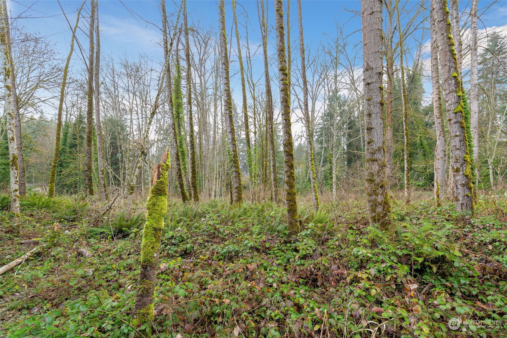 16 XXX 76th Place NE