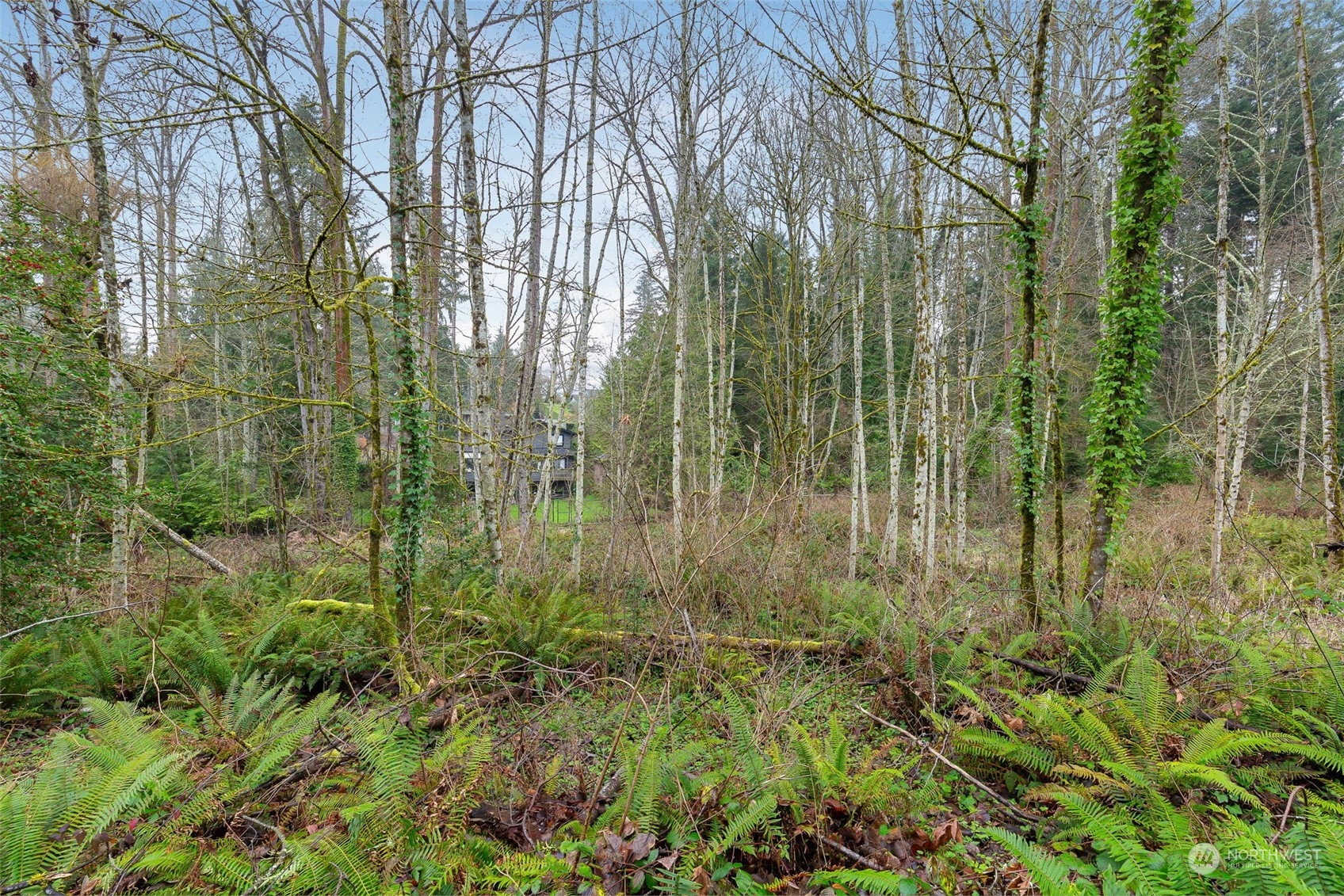 16 XXX 76th Place NE