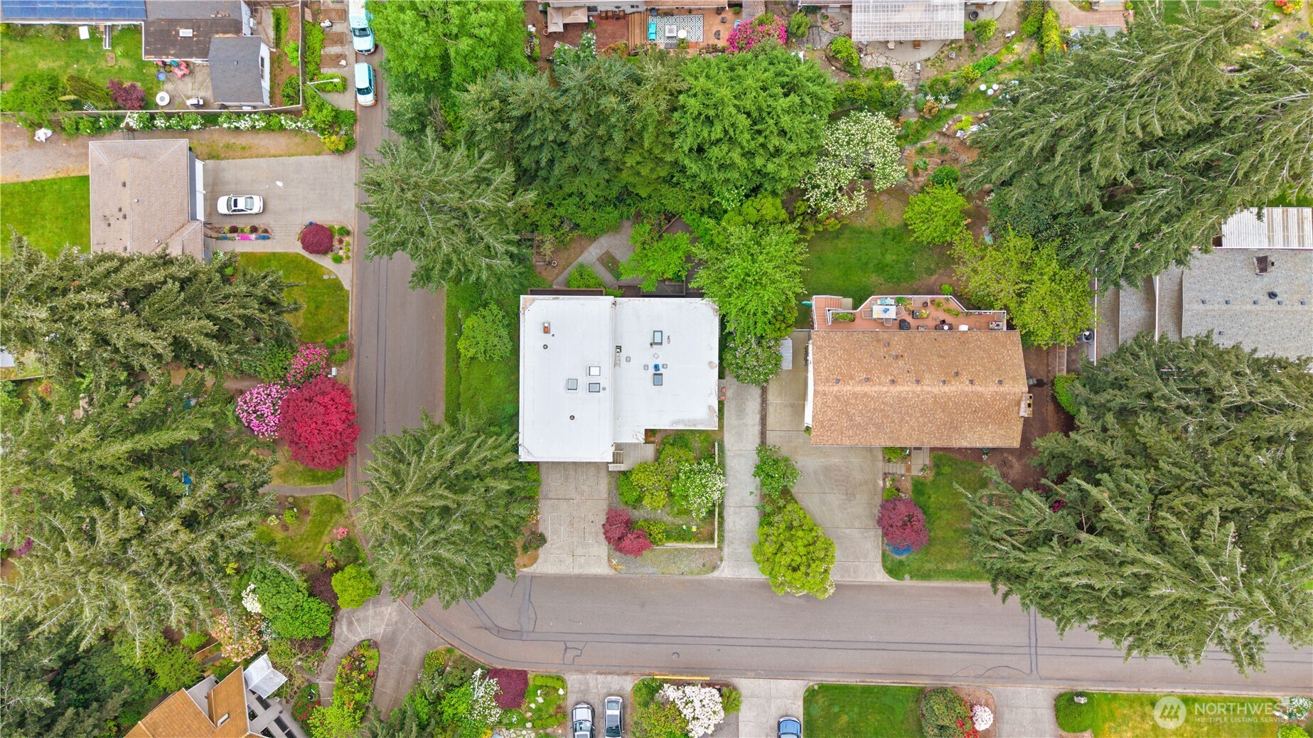 1217 Coral Drive