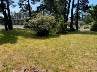 Photo of 27008 RIDGE Avenue, Ocean Park, WA 98640 (MLS # 2577445)