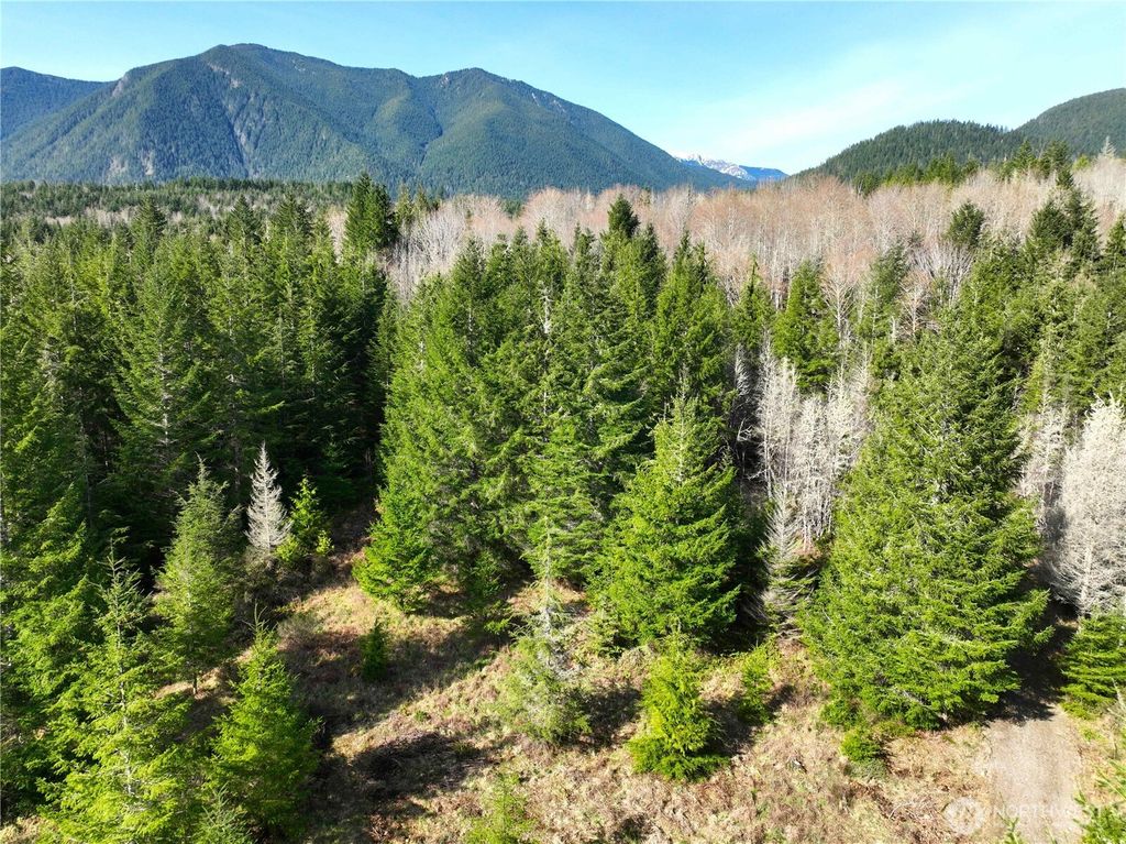 Photo of 71 Elkhorn Lane, Quilcene, WA 98376 (MLS # 2484727)