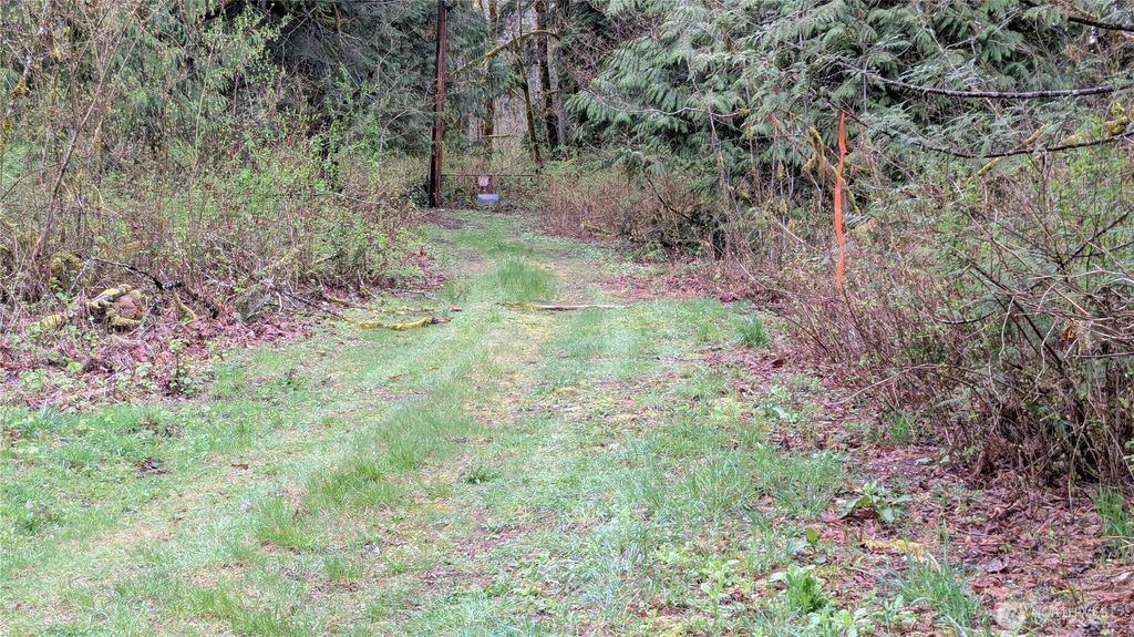 Photo of 63602 190th Street NE, Baring, WA 98224 (MLS # 2507716)