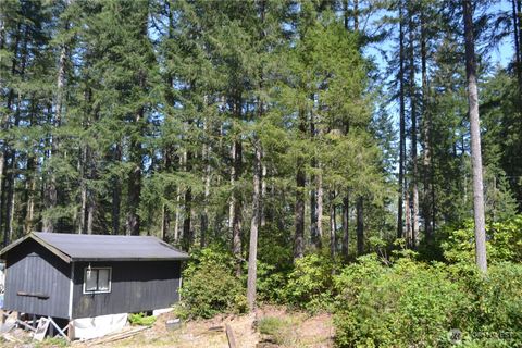 Photo of 80 NE Collins Drive E, Tahuya, WA 98588 (MLS # 2470876)