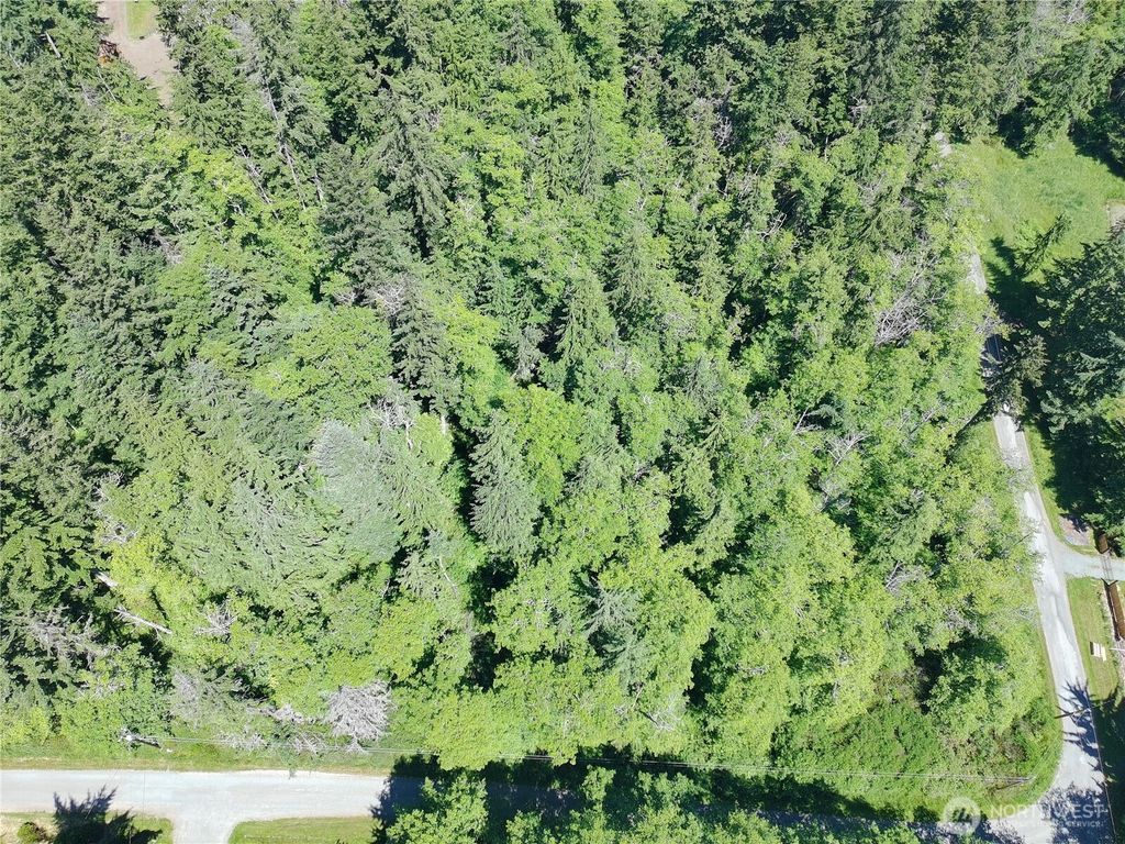 Photo of 737 Twin View Drive, Greenbank, WA 98239 (MLS # 2533790)
