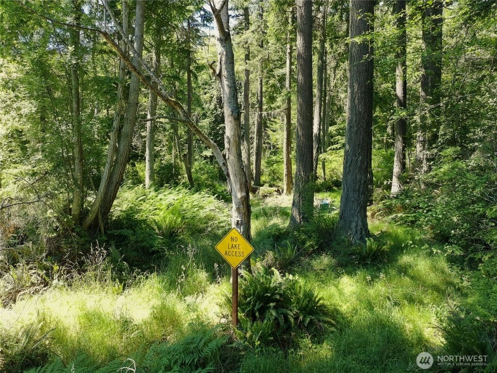 Photo of 737 Twin View Drive, Greenbank, WA 98239 (MLS # 2533790)