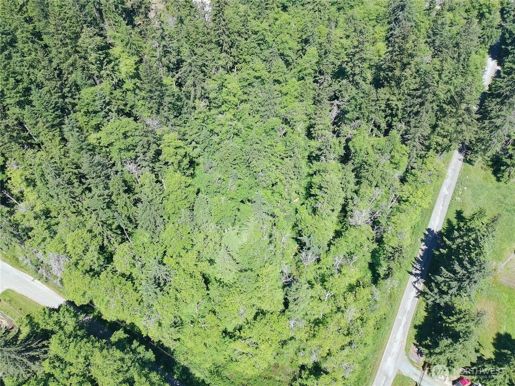 Photo of 737 Twin View Drive, Greenbank, WA 98239 (MLS # 2533790)