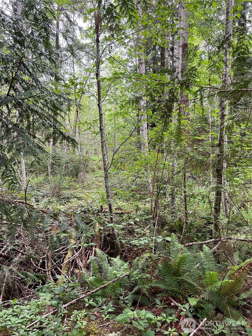 Photo of 11111 Seabeck Highway, Bremerton, WA 98312 (MLS # 2529078)