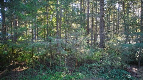 Featured picture for the property 2299479