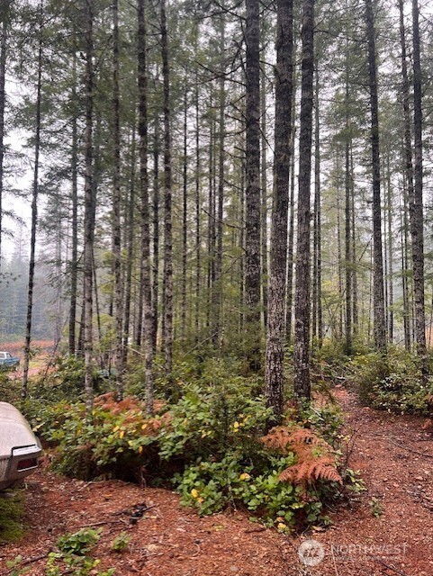 0 Dewatto Hills Road