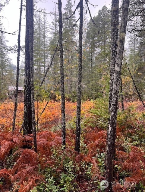 0 Dewatto Hills Road