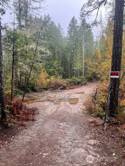 0 Dewatto Hills Road Belfair WA 98528