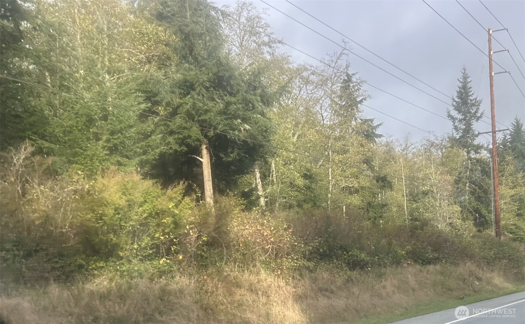 0 Forest View Lane