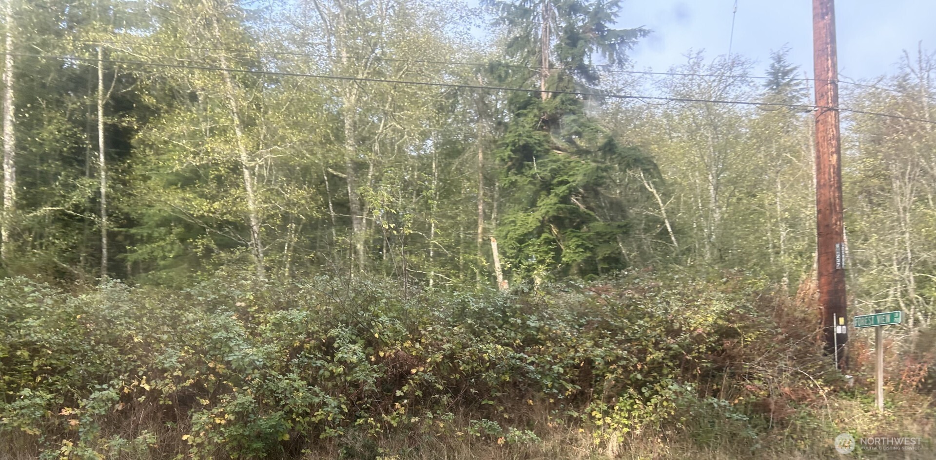 0 Forest View Lane