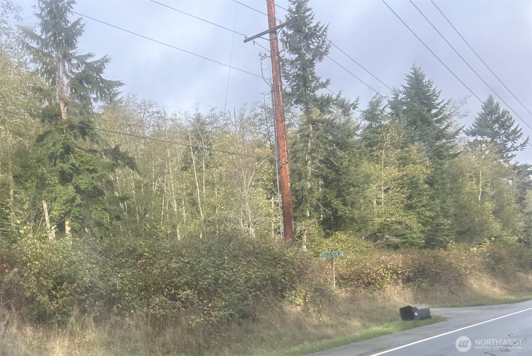 0 Forest View Lane