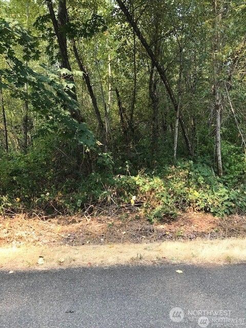 7521 188th Avenue E Bonney Lake WA 98391