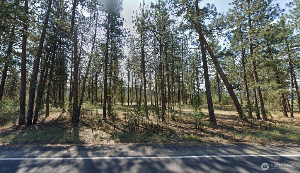 Photo of 7293 Highway 291, Tumtum, WA 99034 (MLS # 2513888)