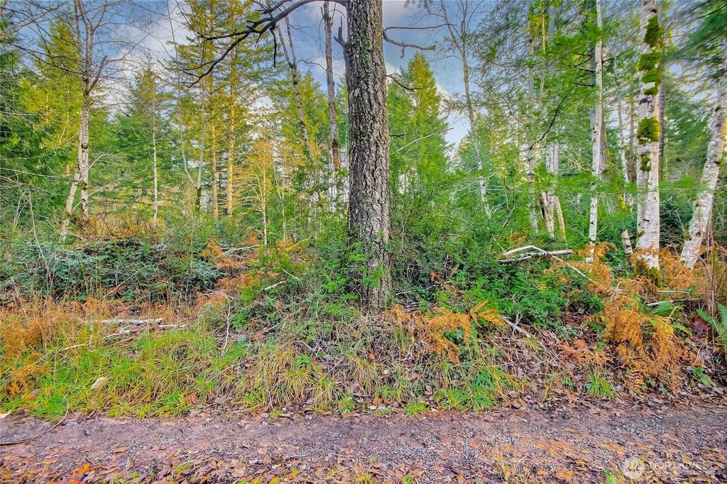 Photo of 1 E Jared Road, Shelton, WA 98584 (MLS # 2468373)