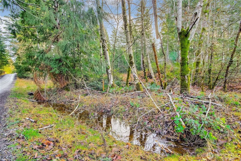 Photo of 1 E Jared Road, Shelton, WA 98584 (MLS # 2468373)