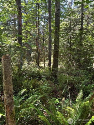 CASSIE PL NW, POULSBO, WA 98370 - Image 3a7de1d600de6abbbc0642d01df92f14/2376765184