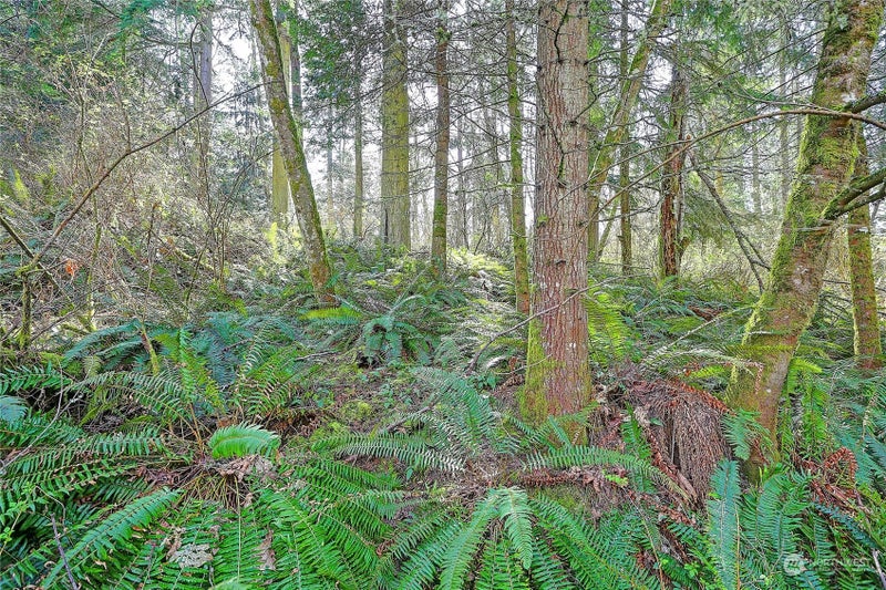 1802 Amber View Place