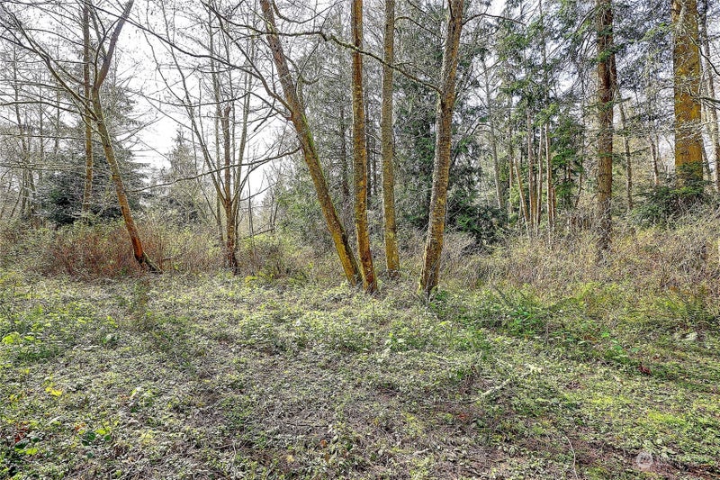 1802 Amber View Place