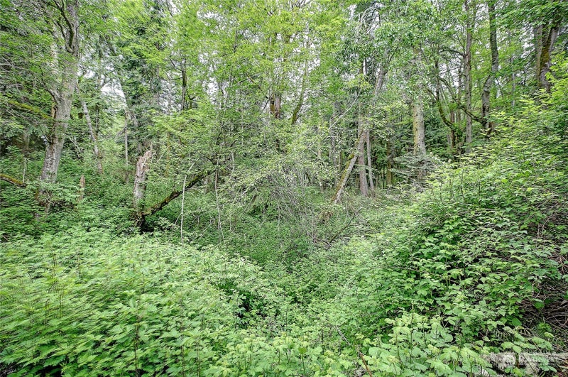 1802 Amber View Place