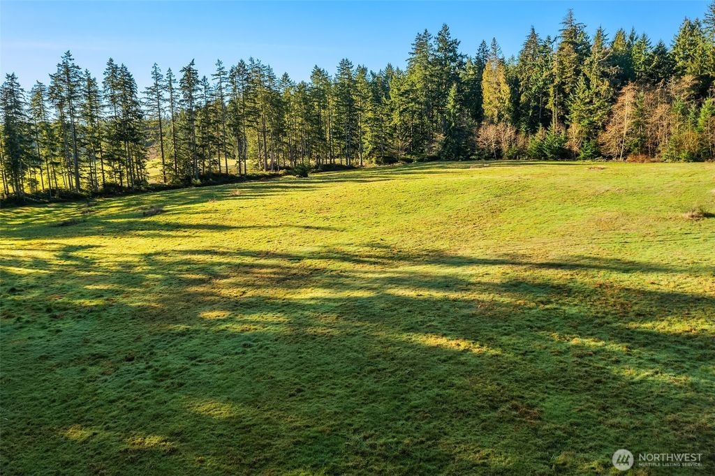 Photo of 12302 SW 220th Street, Vashon, WA 98070 (MLS # 2510604)