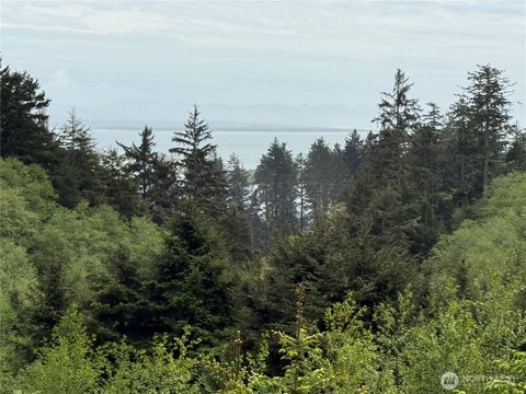 Photo of 34 Discovery Court, Ilwaco, WA 98624 (MLS # 2373389)