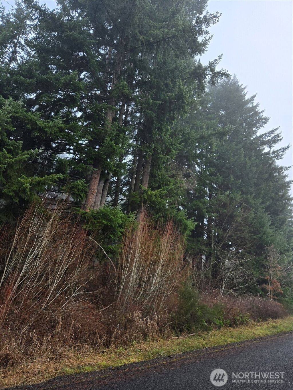 Photo of 0 Clinton Road, Chehalis, WA 98532 (MLS # 2464701)