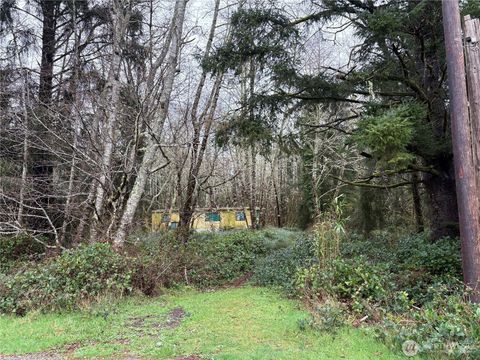 Photo of 303 XX Stackpole Lane, Ocean Park, WA 98640 (MLS # 2495421)