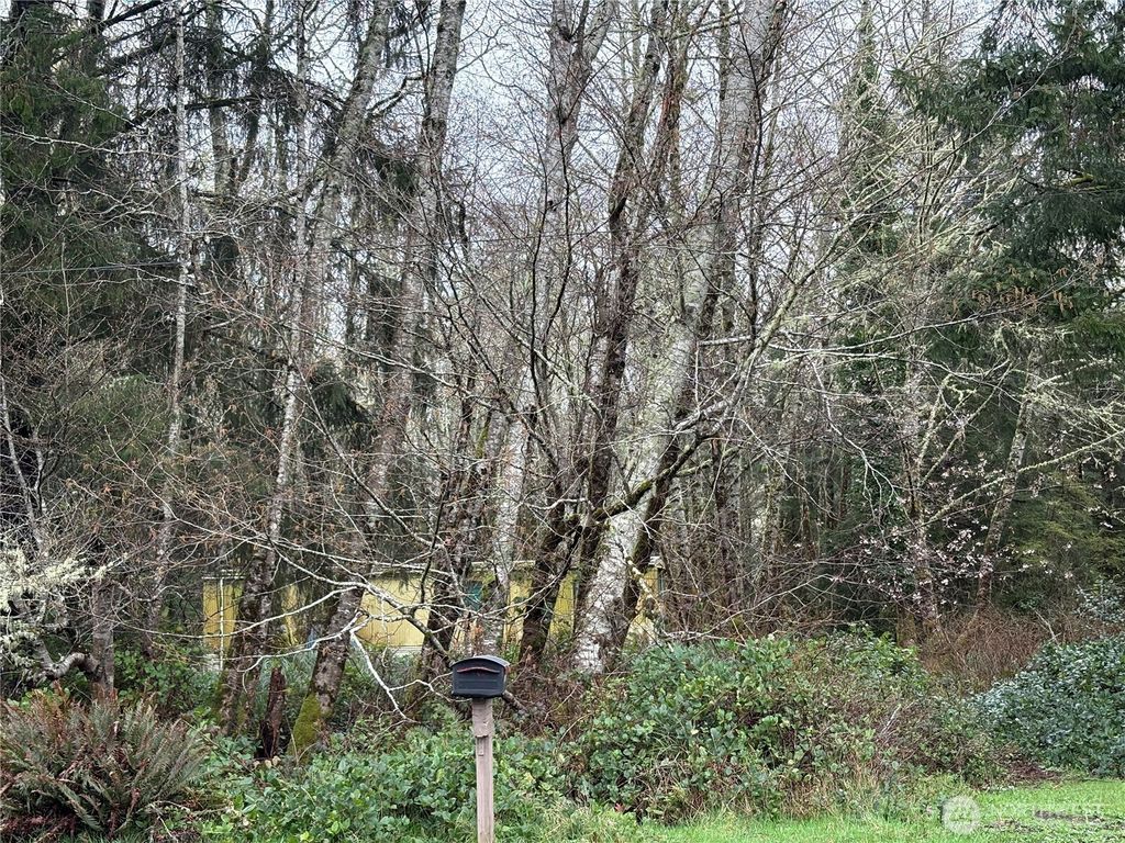 Photo of 303 XX Stackpole Lane, Ocean Park, WA 98640 (MLS # 2495421)