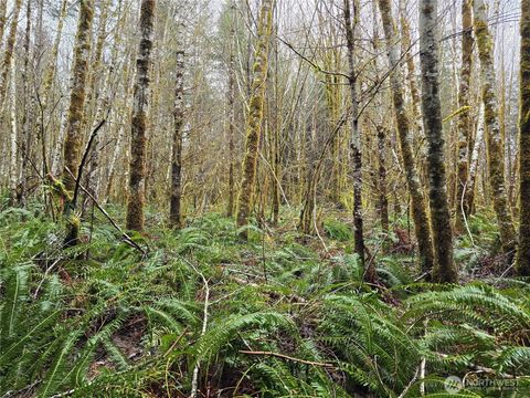 0 W Elk Hill Road Elma WA 98541