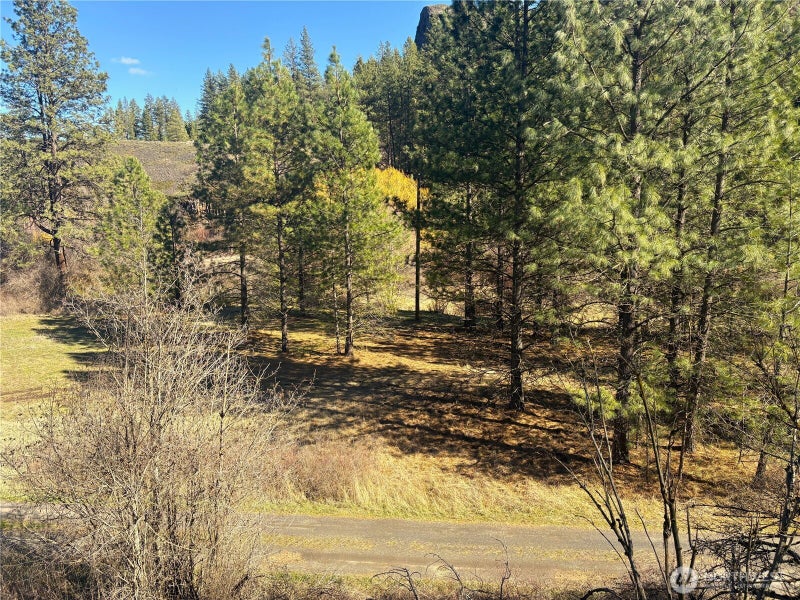 32900 Hawk Creek Ranch Rd N