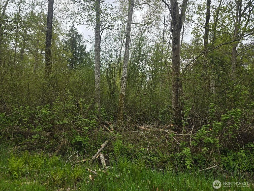 Photo of 0 Shorewood Lane, Bellingham, WA 98226 (MLS # 2520127)