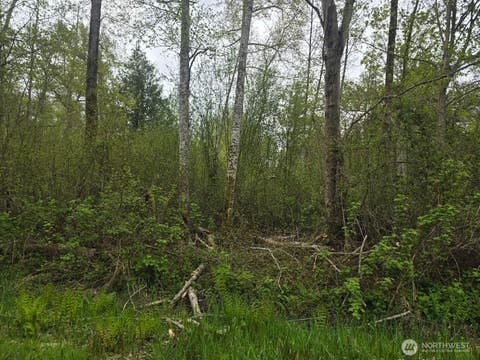 Photo of 0 Shorewood Lane, Bellingham, WA 98226 (MLS # 2520127)