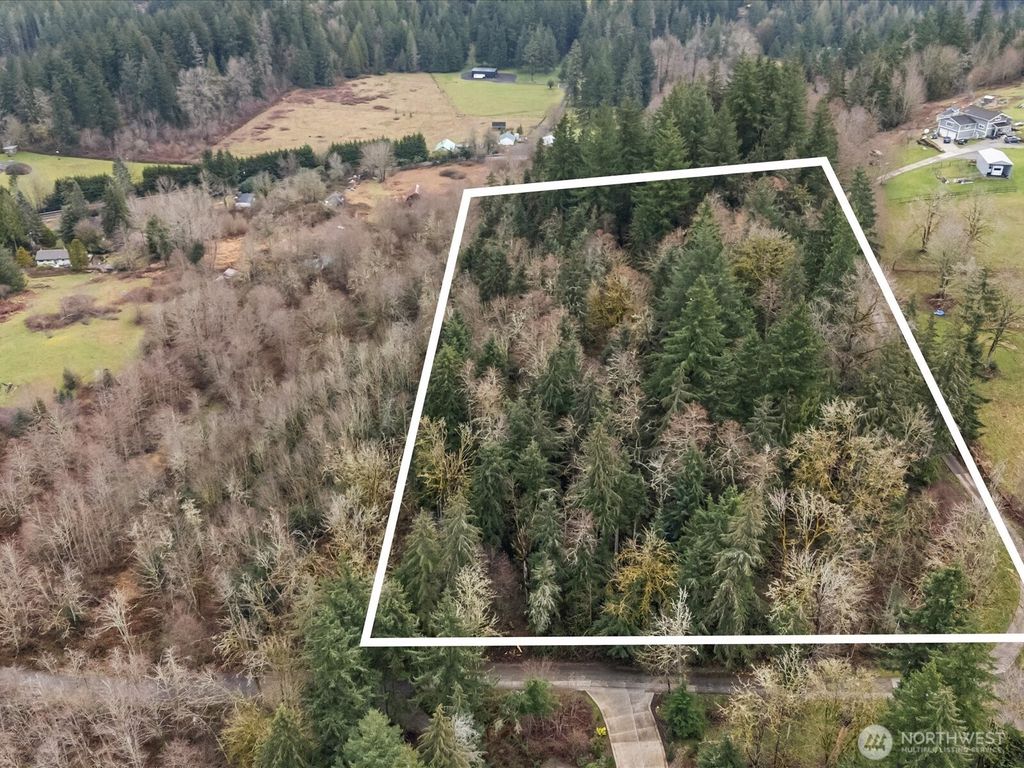 Photo of 259 XXX 272nd Avenue SE, Ravensdale, WA 98051 (MLS # 2511475)