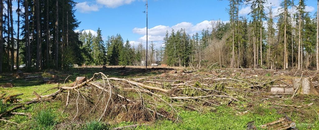 Photo of 444 Meier Road, Winlock, WA 98596 (MLS # 2500713)