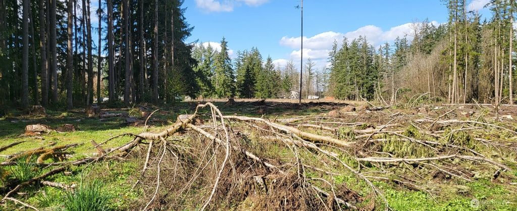 Photo of 444 Meier Road, Winlock, WA 98596 (MLS # 2500713)